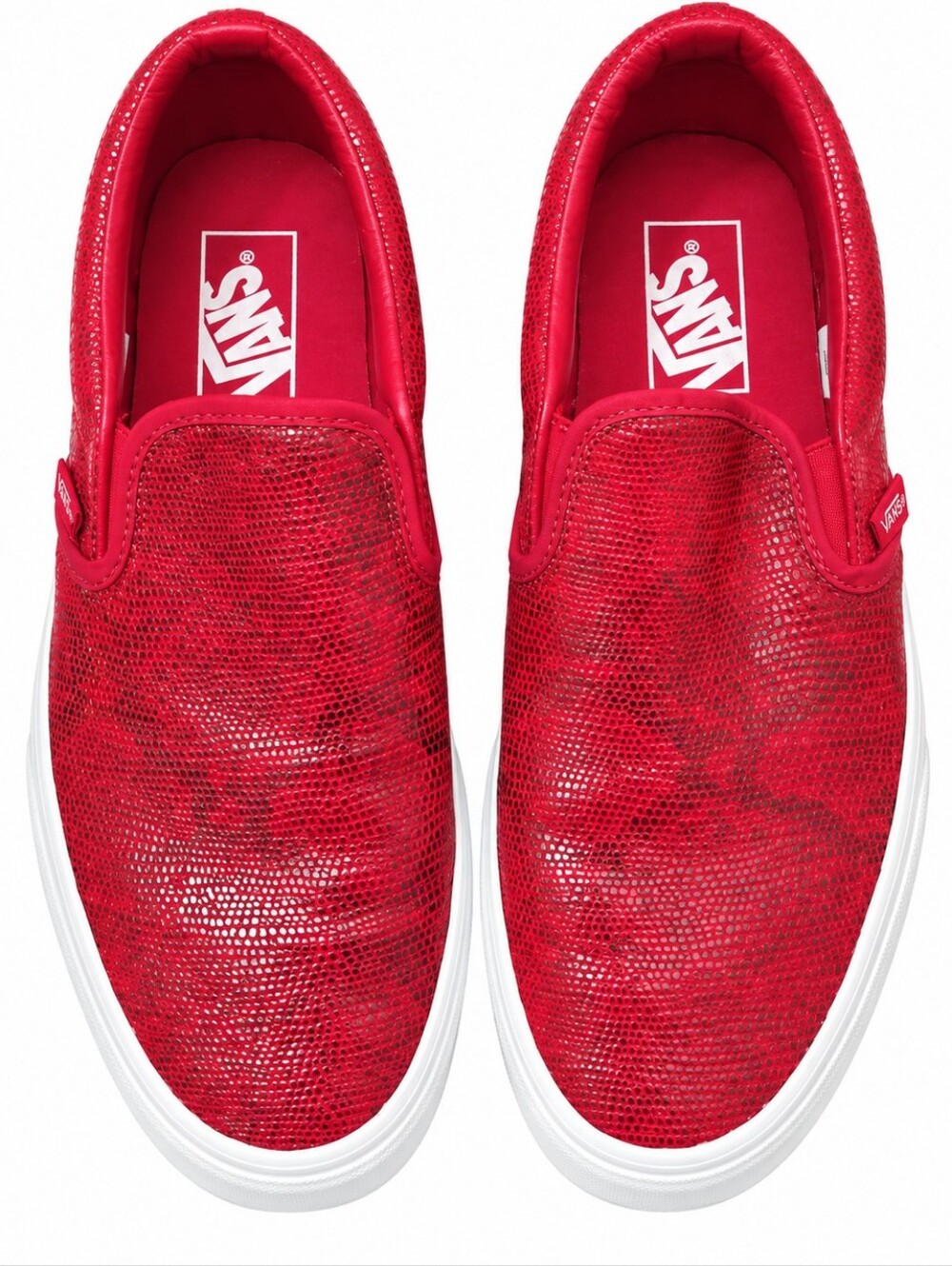 Vans Red Slip-On Snakeskin Print Sneaker